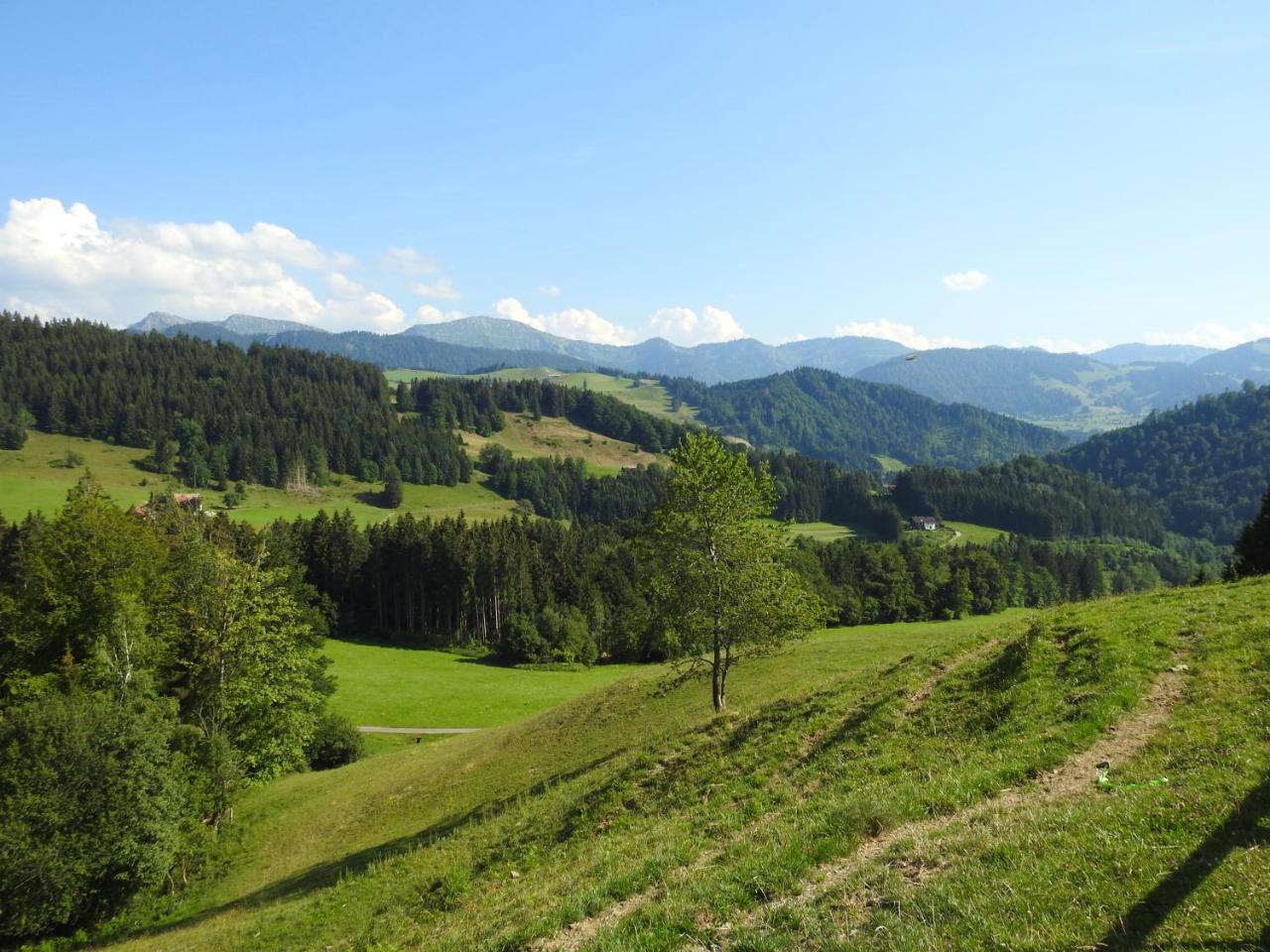 Ferienwohnungen Am Schlossberg Оберштауфен Экстерьер фото